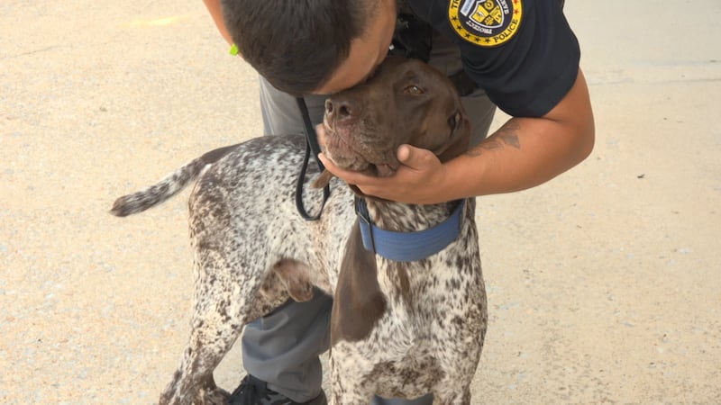 Los caninos K-9 Nico y K-9 Reaper se integraron a la fuerza gracias a una donación de...