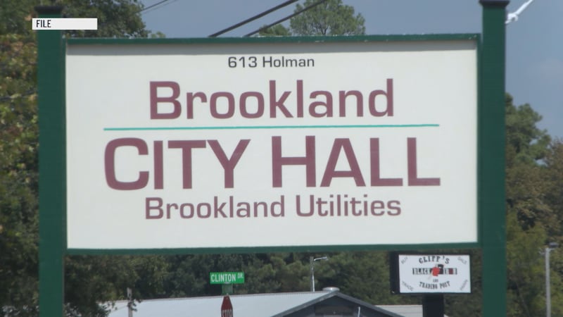 Los votantes en Brookland verán seis bonos en la boleta.