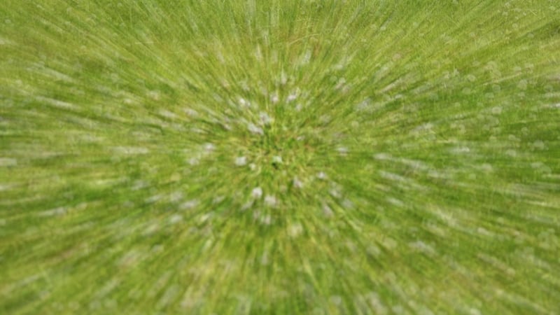 ARCHIVO - Equipos de emergencia llevaron al niño desde la casa a un hospital, donde fue...