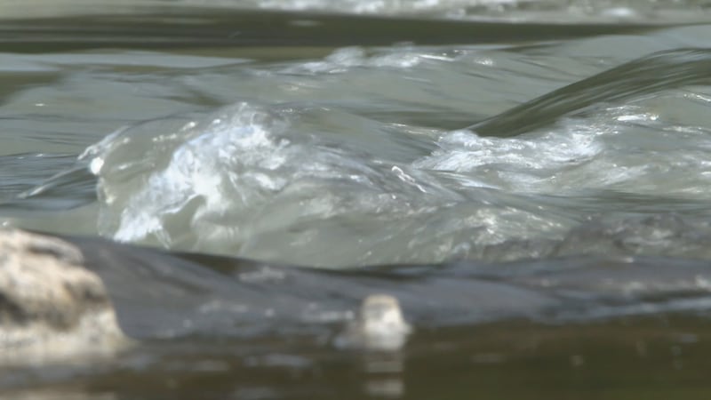 Semanas de sequía y calor extremo han llevado a los ríos locales a un punto crítico,...